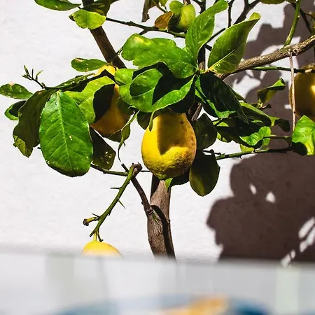 Casa Cesare アパート